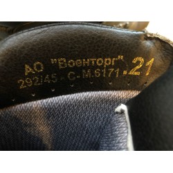 Venäjän armeijan maiharit